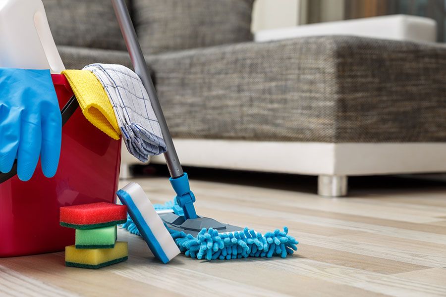 House Cleaning Program